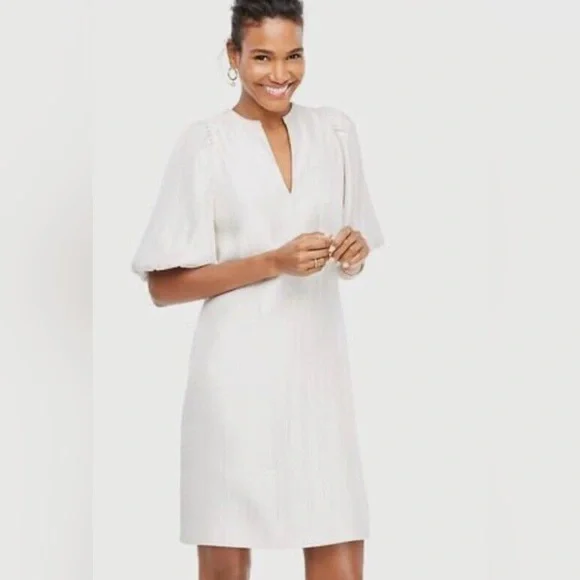 Ann Taylor champagne shift dress - Picture 2 of 6